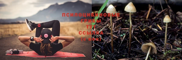 стафф Абдулино