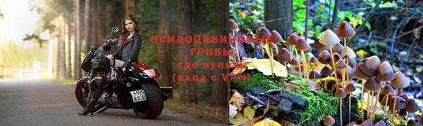 трава Сафоново