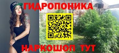 не бодяженный Кандалакша