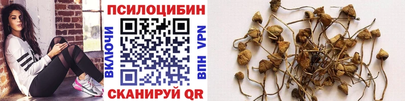 Псилоцибиновые грибы ЛСД  Лесозаводск 