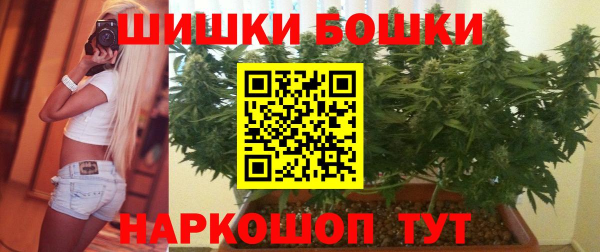 Бошки марихуана планчик  Конопля индика  Вход с VPN  Канабис план  Лесозаводск 